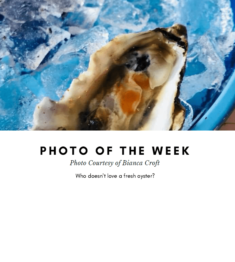 photo of the week - PC of Bianca Croft