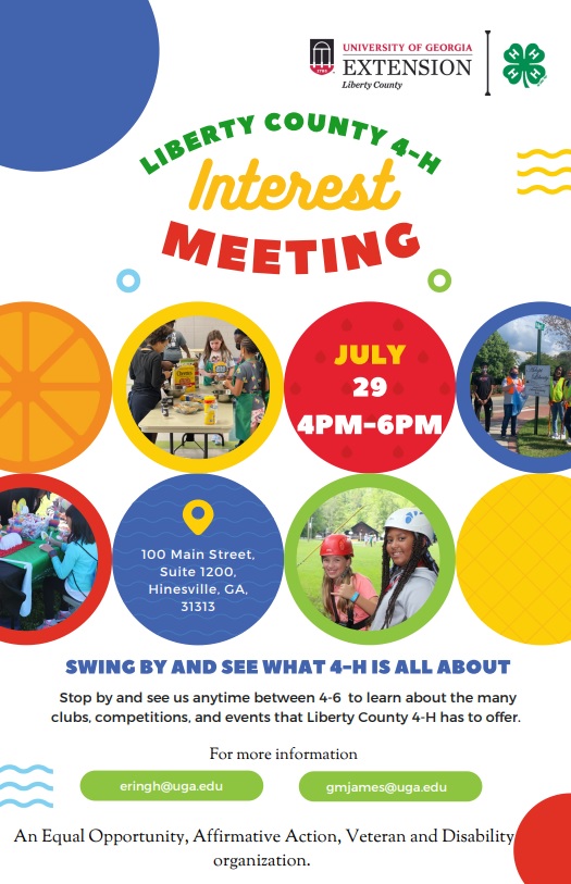 Flyer for Interest Meeting