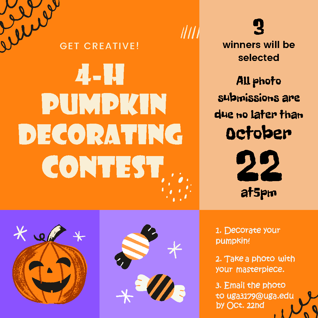 4-H Pumpkin Decorating Contest