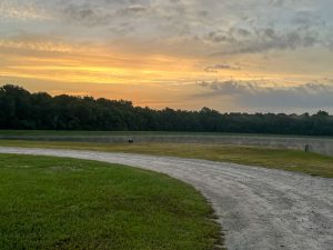 Bryant Commons Park 6 Best Spots to Watch the Sunrise or Sunset in Liberty County