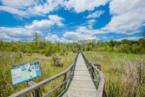 7 Ways to Get Outdoors this Fall in Liberty County Cay Creek Wetlands Interpretive Center