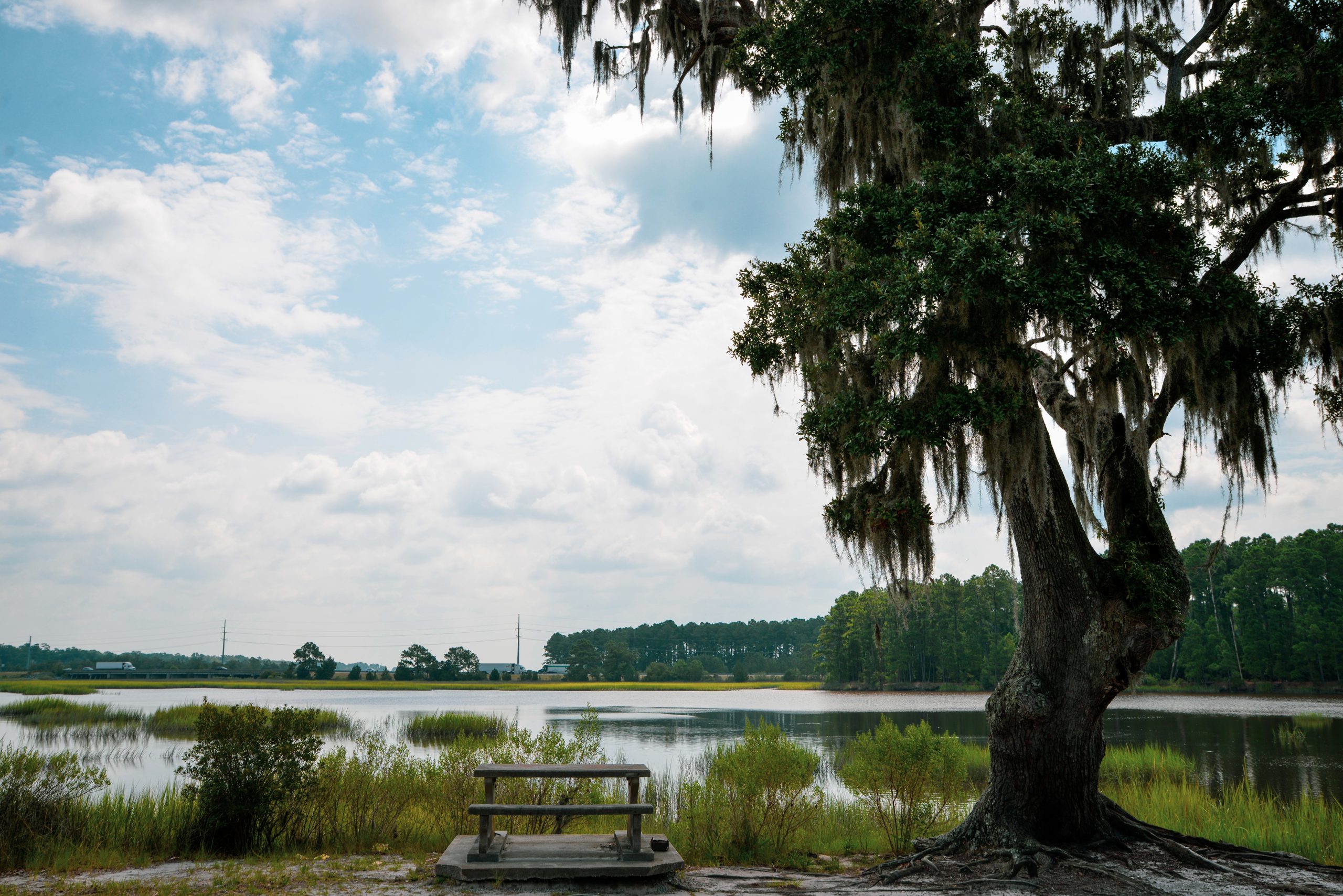 6 Parks to Visit this Spring in Liberty County Jones Creek Park