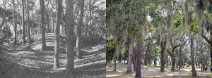 Fort Morris State Historic Site Then & Now - Liberty County History in Photographs