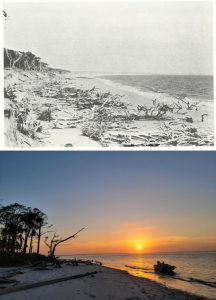 St. Catherines Island Then & Now - Liberty County History in Photographs