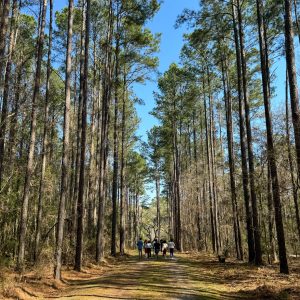 Historic Baptismal Trail 23 Free Ways to Enjoy a Weekend in Liberty County