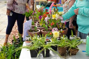 Farmers Market in Downtown Hinesville 15 Summer Date Ideas in Liberty County