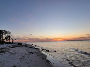 St Catherines Island 6 Spots to Watch a Sunrise or Sunset in Liberty County